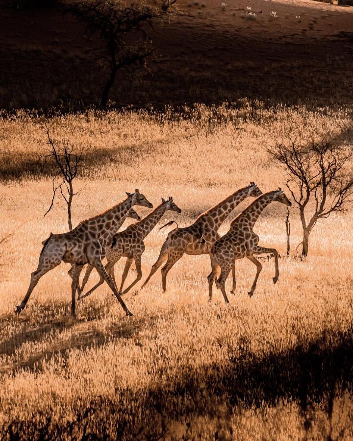 Bagatelle Kalahari Game Ranch Villa Hardap Bagian luar foto
