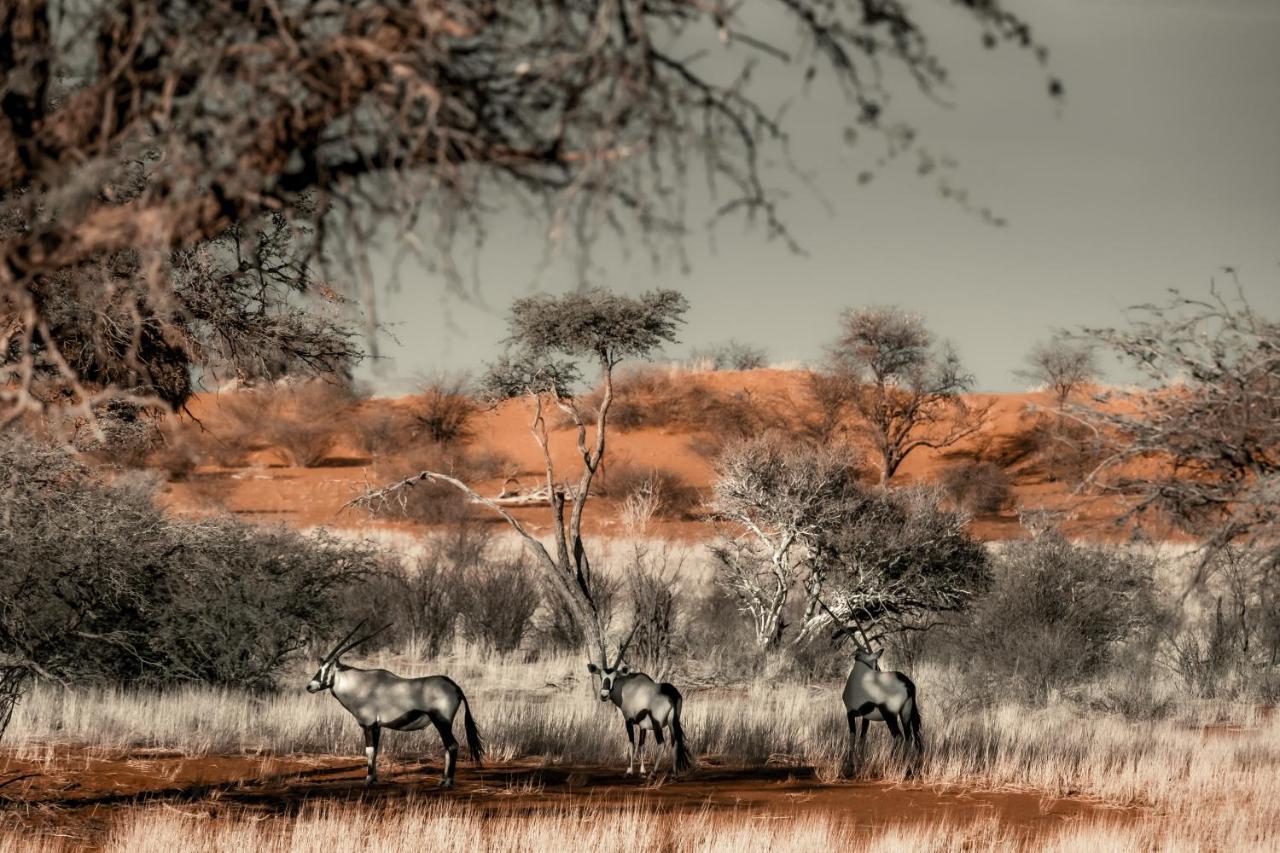 Bagatelle Kalahari Game Ranch Villa Hardap Bagian luar foto