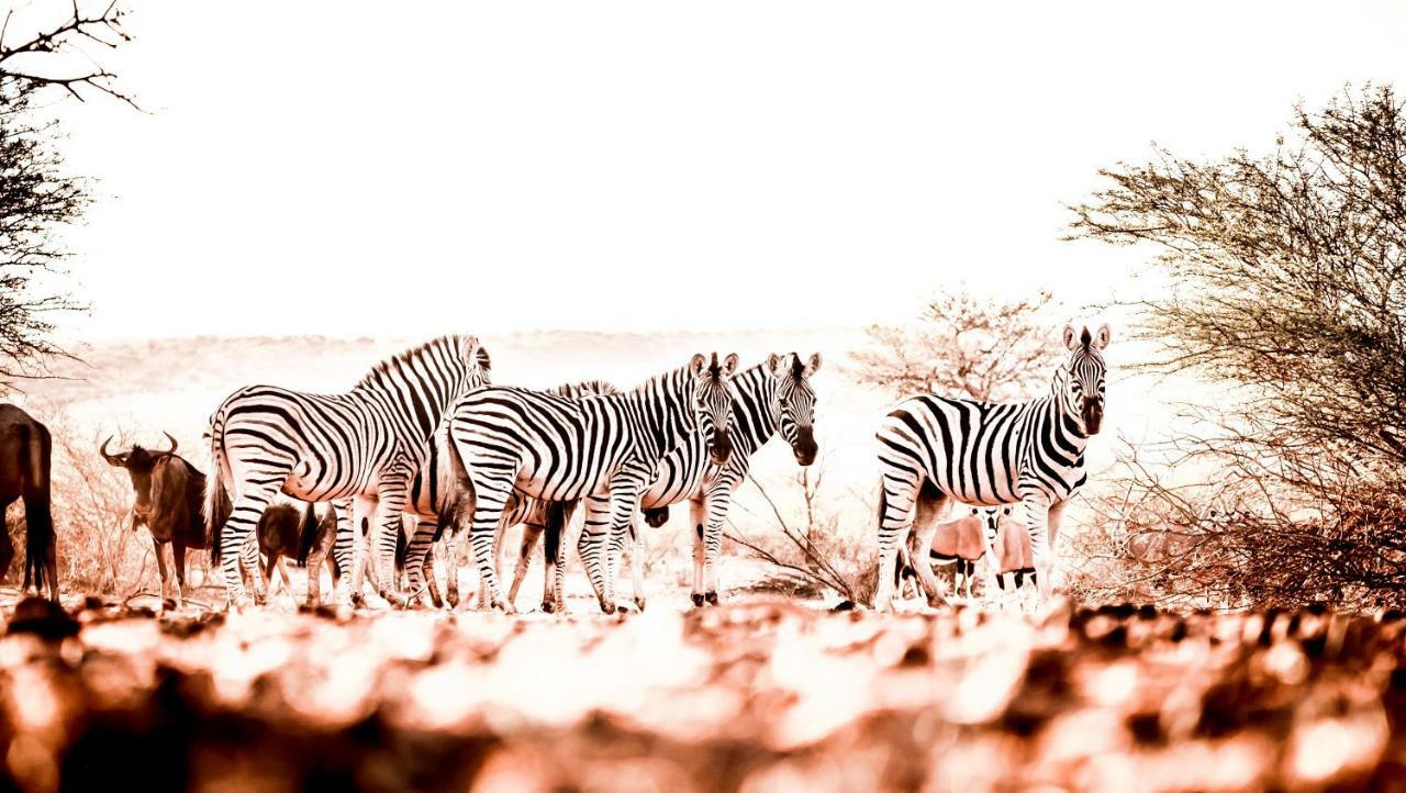 Bagatelle Kalahari Game Ranch Villa Hardap Bagian luar foto