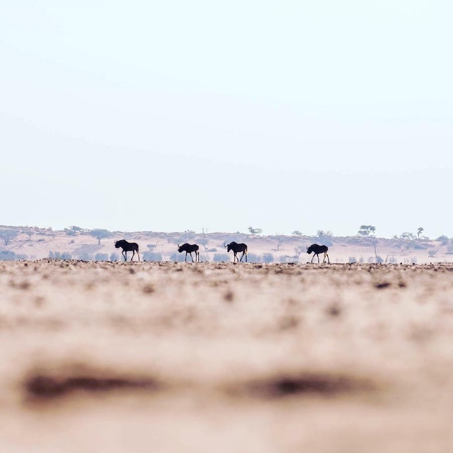 Bagatelle Kalahari Game Ranch Villa Hardap Bagian luar foto