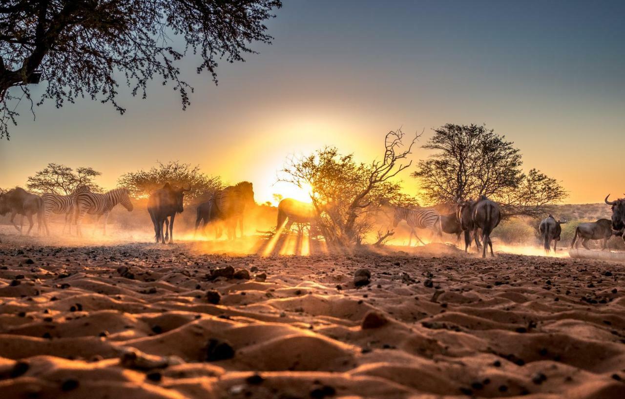 Bagatelle Kalahari Game Ranch Villa Hardap Bagian luar foto