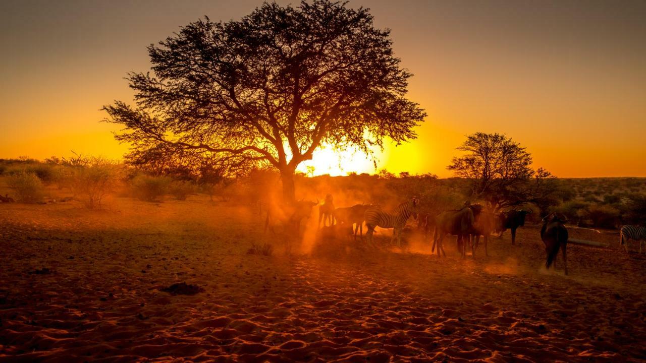 Bagatelle Kalahari Game Ranch Villa Hardap Bagian luar foto