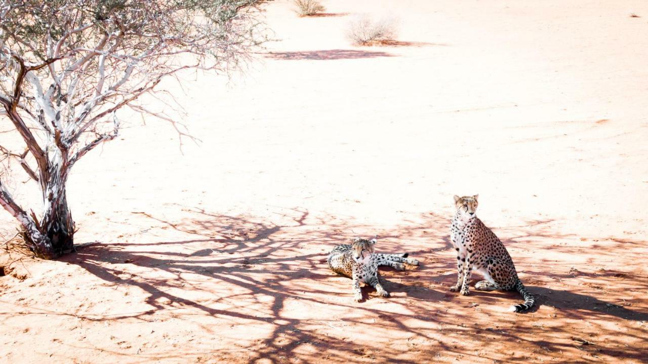 Bagatelle Kalahari Game Ranch Villa Hardap Bagian luar foto